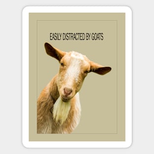 Easily Distracted by Goats Magnet